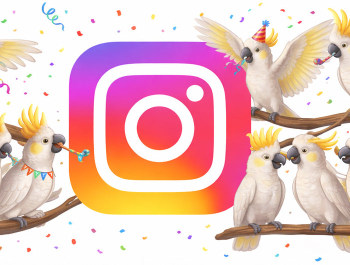 <h3><a href="https://www.instagram.com/hawaiihemd.shop/" target="_blank" title="https://www.instagram.com/hawaiihemd.shop/">Folge Hawaiihemd.shop auf Instagram</a></h3>