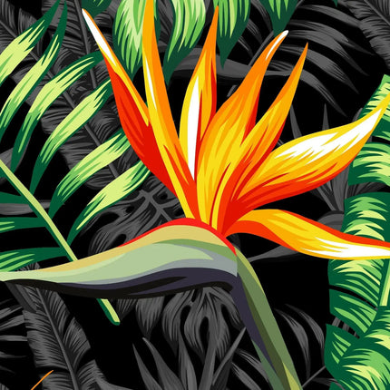 Nahaufnahme: Paradiesvogelblüte in Orange-Gelb auf schwarzem Tropenmuster