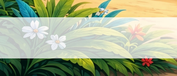 <h3>100% Baumwolle</h3>