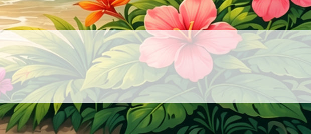 <h3>Hohe Qualität</h3>